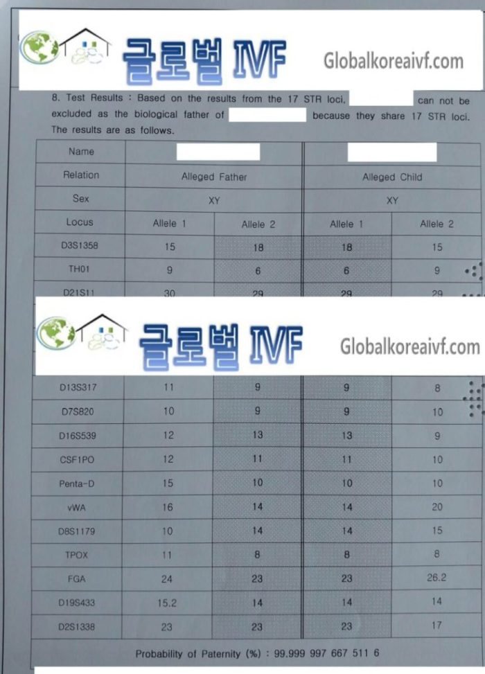 DNA 친자검사 결과지와 유전자 마커 분석을 설명하는 글로벌코리아IVF 안내 이미지