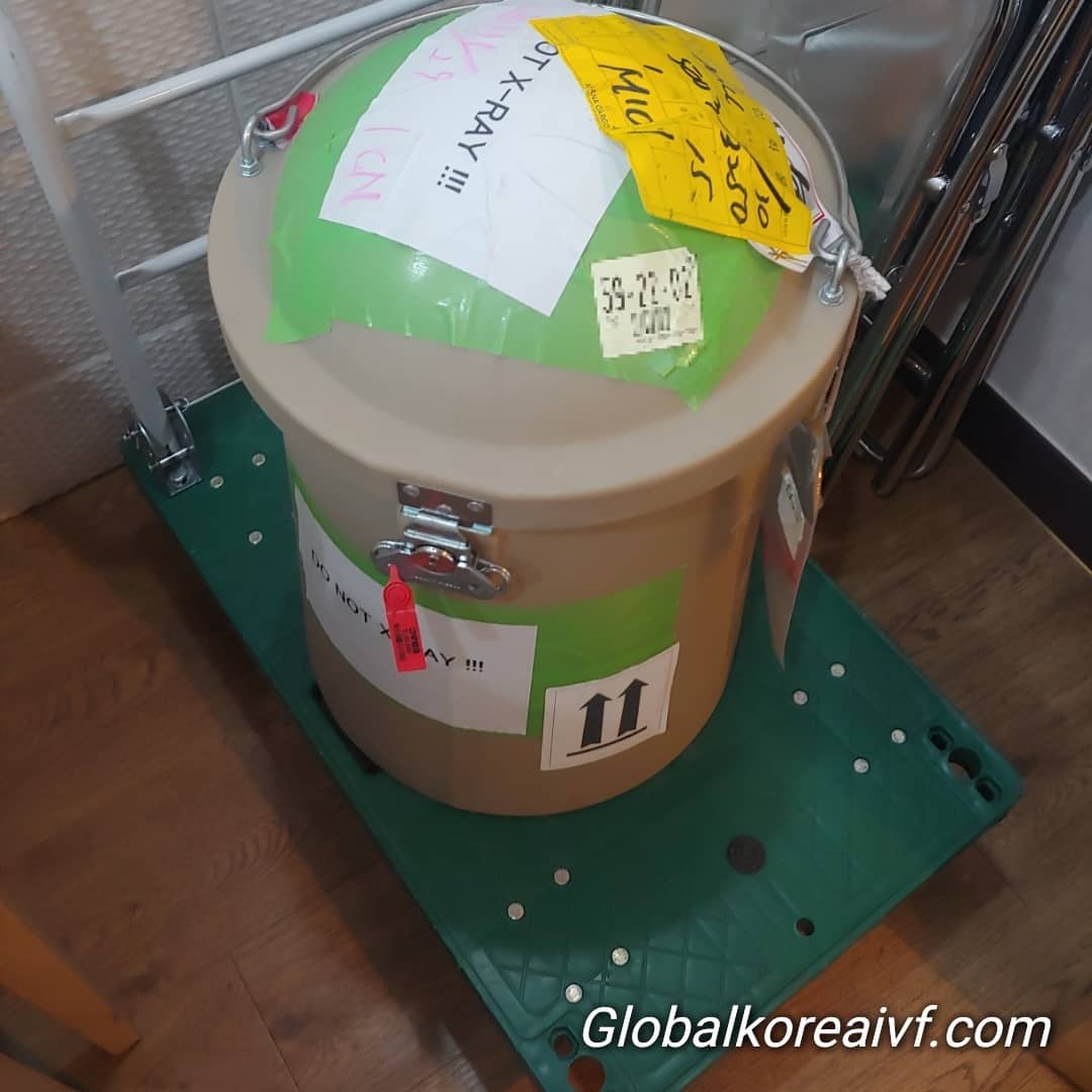 이관을 위해 동결된 냉동 배아를 운송하는 작업입니다. 특수용기에 포장하여 섬세하게 운송 하여야 합니다. 불임부부와 난자은행 대리모등에 따라 이러한 운송이 필요한 경우가 있습니다.