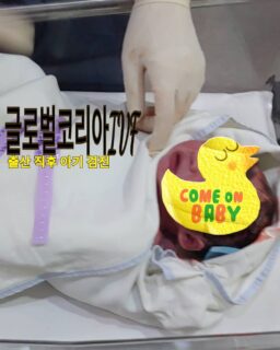 2017년 #대리모 #출산 성공 #시험관시술 #착상 시도 2차 #아기 건강 #LGBT #5일배양