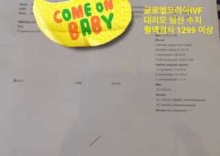 #대리모 #3일배양 #이식 후 #hcg 혈액검사 수치 1200 이상 #임신 성공