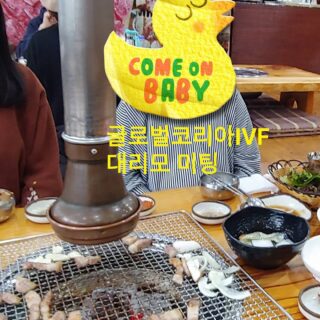 #대리모 #미팅 #모임  #시험관 #난임 #이식 성공 #글로벌코리아ivf