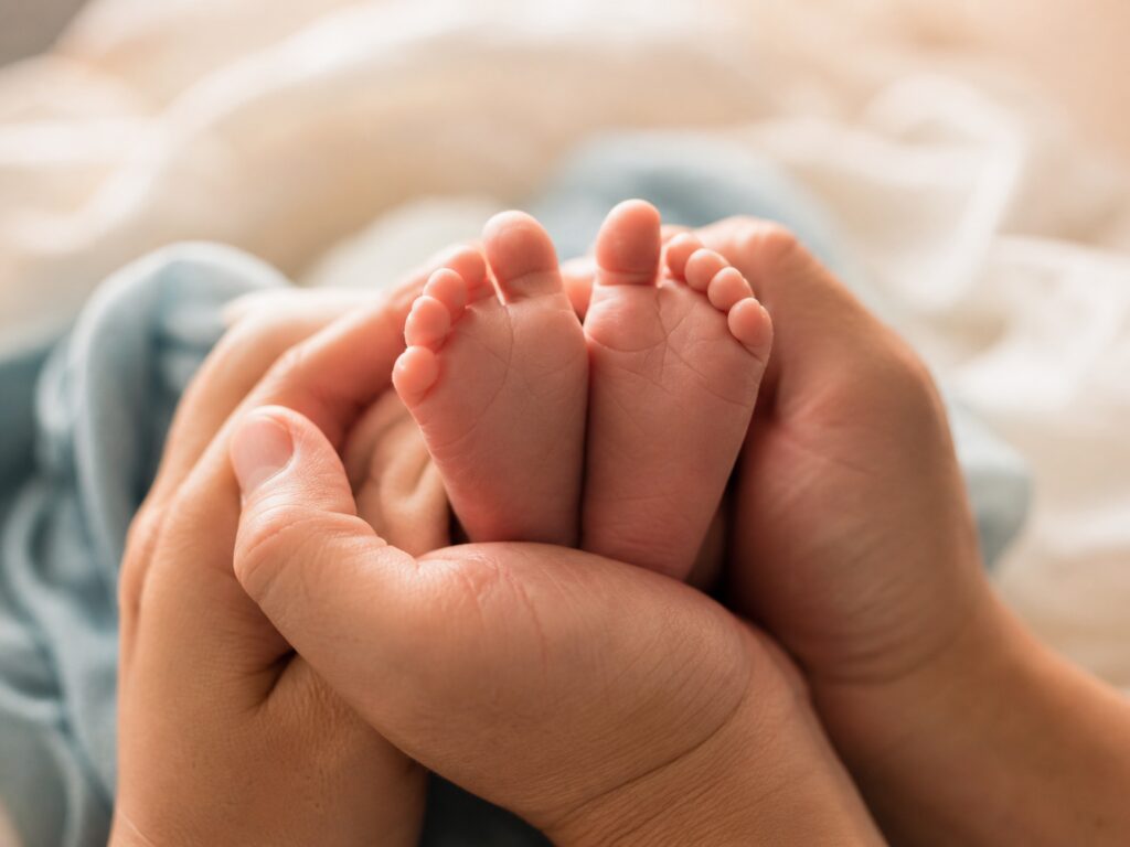 대리임신 프로그램 — 글로벌코리아IVF